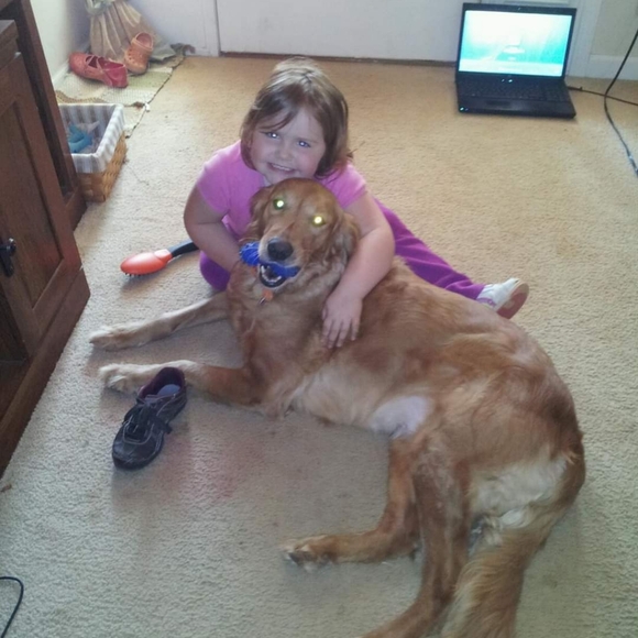 Meet your Posher, Hannah for Paws - Picture 15 of 16